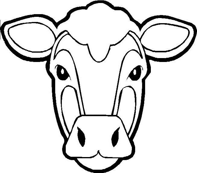 planse desene de colorat vaca vitel taur bou